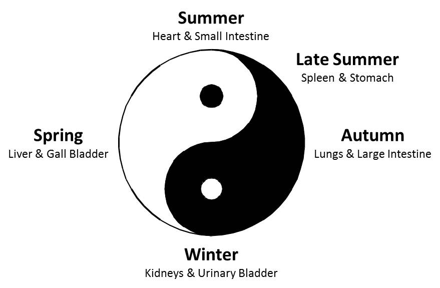 yinyang season cycle
